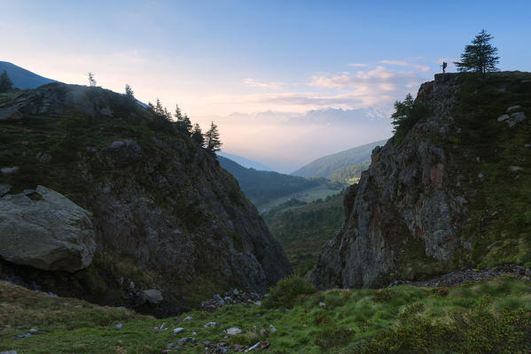 Bighera valley, Stelvio National park, Lombardy district, Brescia province, Italy, Europe.