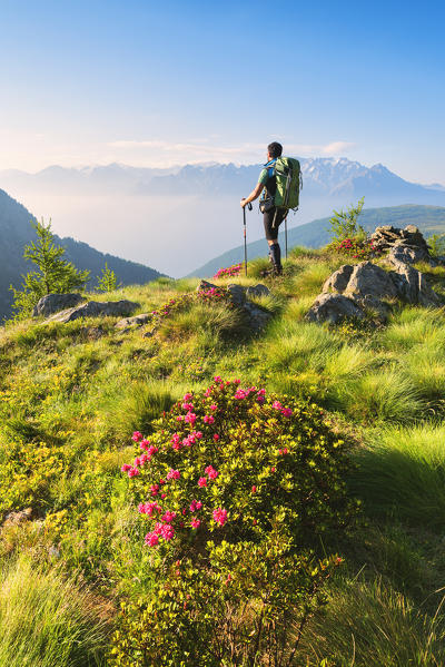 Trekking in Stelvio National park, Seroti lakes, Lombardy district, Brescia province, Italy, Europe.