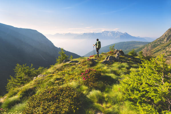 Trekking in Stelvio National park, Seroti lakes, Lombardy district, Brescia province, Italy, Europe.