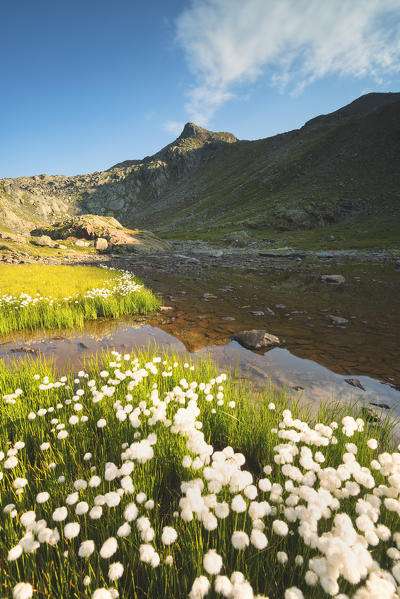 Pietrarossa lake in Stelvio National Park, Canè Valley, Lombardy district, Italy, Europe.