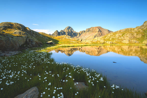 Pietrarossa lake in Stelvio National Park, Canè Valley, Lombardy district, Italy, Europe.