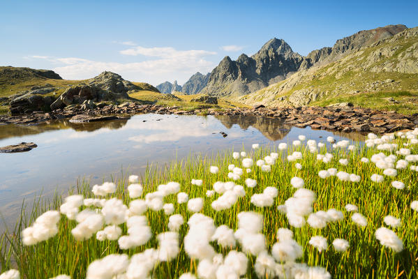 Pietrarossa lake in Stelvio National Park, Canè Valley, Lombardy district, Italy, Europe.