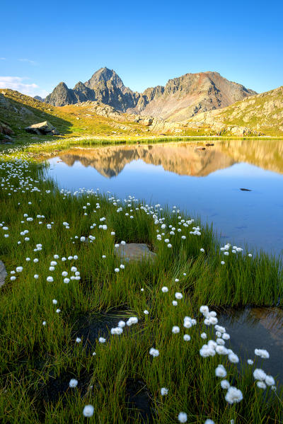 Pietrarossa lake in Stelvio National Park, Canè Valley, Lombardy district, Italy, Europe.