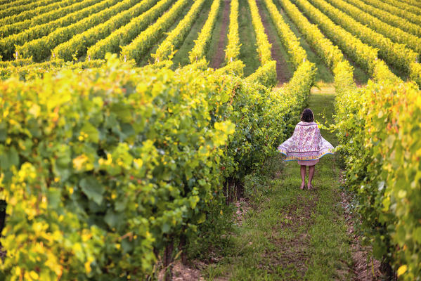 Model in Vineyards in Franciacorta, Brescia province in Lombardy district, Italy, Europe.