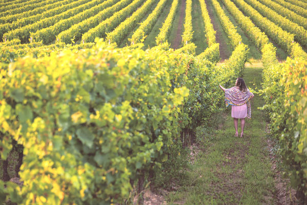 Model in Vineyards in Franciacorta, Brescia province in Lombardy district, Italy, Europe.