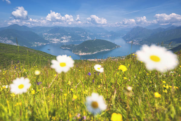 Bloomings over Iseo Lake,Brescia province in Lombardy district, Italy, Europe.