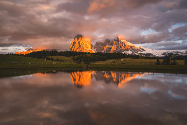 Alpe di Siusi/Seiser Alm, Dolomites, Kastelruth, South Tyrol, Italy.