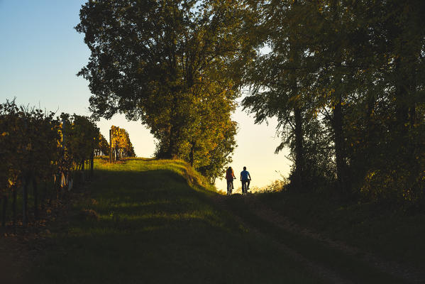 Couple of Bikers in Vineyards, Franciacorta, Province of Brescia, Lombardy, Italy.