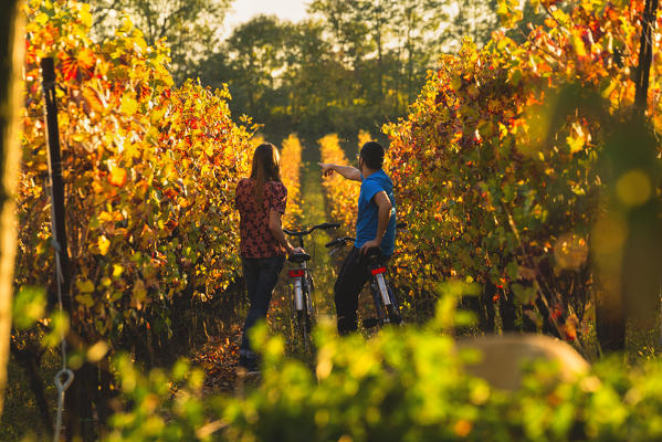 Couple of Bikers in Vineyards, Franciacorta, Province of Brescia, Lombardy, Italy.