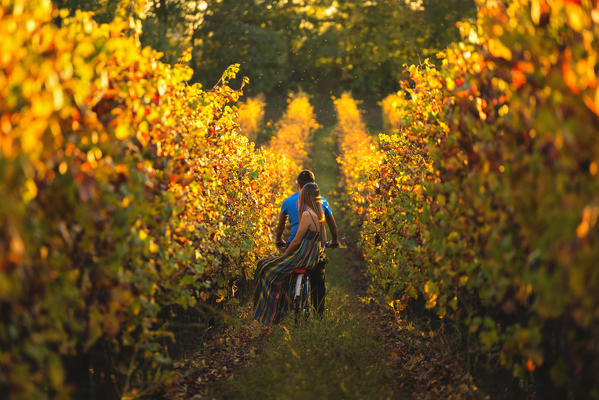 Couple of Bikers in Vineyards, Franciacorta, Province of Brescia, Lombardy, Italy.