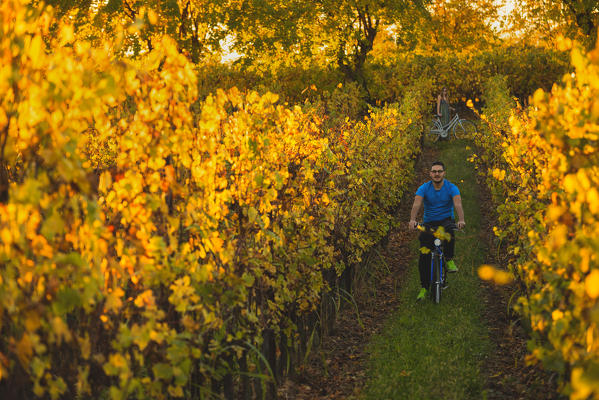 Couple of Bikers in Vineyards, Franciacorta, Province of Brescia, Lombardy, Italy.