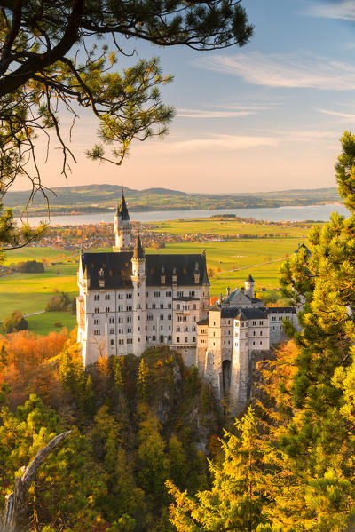 Neuschwanstein Castle in Autumn at sunset Europe, Germany, Bavaria, southwest Bavaria, Fussen, Schwangau