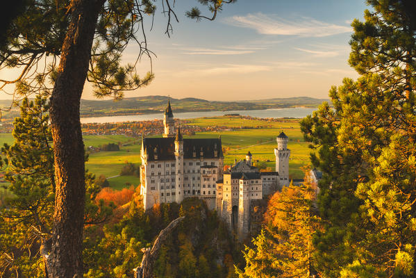 Neuschwanstein Castle in Autumn at sunset Europe, Germany, Bavaria, southwest Bavaria, Fussen, Schwangau