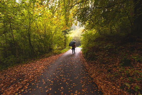 Path in Guglielmo Mount, Province of Brescia, Lombardy, Italy