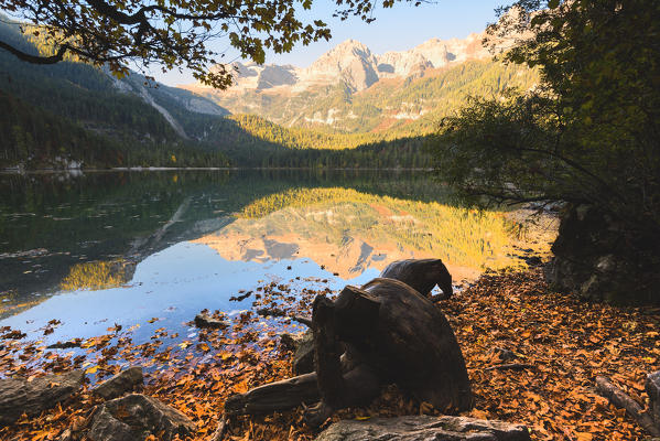 Lake Tovel at sunrise Europe, Italy, Trentino Alto Adige, Trento district.