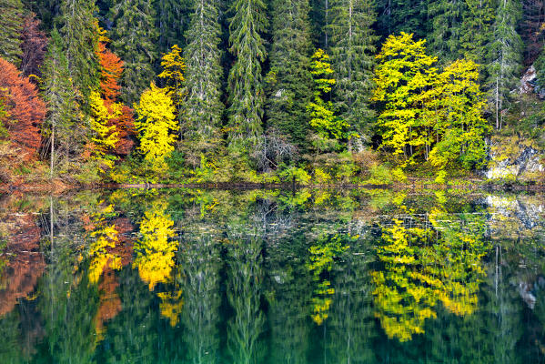 Lake Tovel, Europe, Italy, Trentino Alto Adige, Trento district.