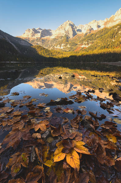 Lake Tovel at sunrise, Europe, Italy, Trentino Alto Adige, Trento district.