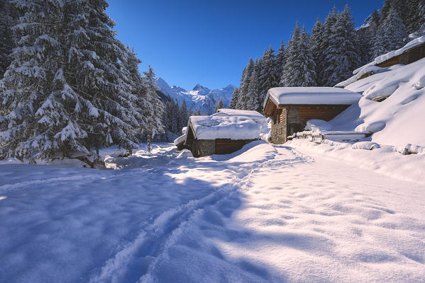 Brandet valley in Brescia province, Lombardy district, Italy, Europe.