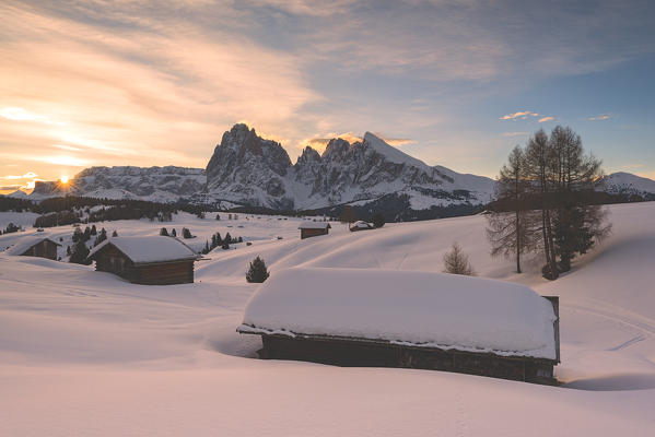 Alpe di Siusi/Seiser Alm, Dolomites, South Tyrol, Italy. Sunrise on the Alpe di Siusi / Seiser Alm with the peaks of Sassolungo / Langkofel and Sassopiatto / Plattkofel.