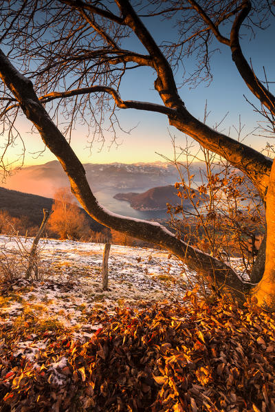 Natural frame at sunset, Montisola, Brescia province, Lombardy district, Italy.