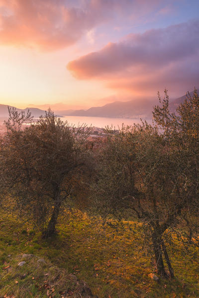 Iseo lake at sunset, Lombardy district, Brescia province, Italy,