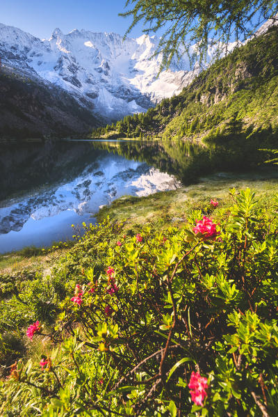 Aviolo lake in Adamello park, Brescia province, Lombardy, Italy.