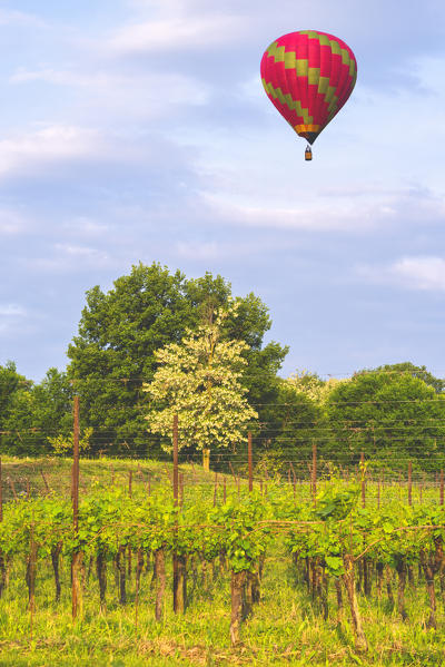 Franciacorta, Lombardy district, Brescia province, Italy.