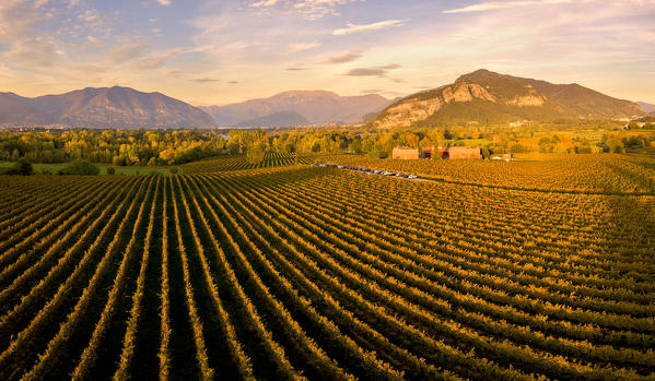 Franciacorta aerial view, Lombardy district, Brescia province, Italy.