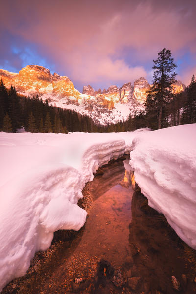 Winter in the naturpark of Paneveggio - Pale di San Martino, Venegia valley, Trentino, Dolomites, Italy