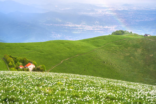 Mount Linzone, Orobie alps, Lombardy district, Bergamo province, Italy