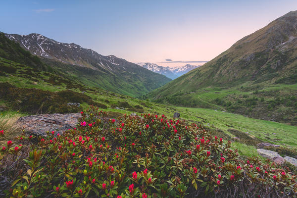 Sunrise in Ponte di Legno, Brescia province, Lombardy district, Italy.