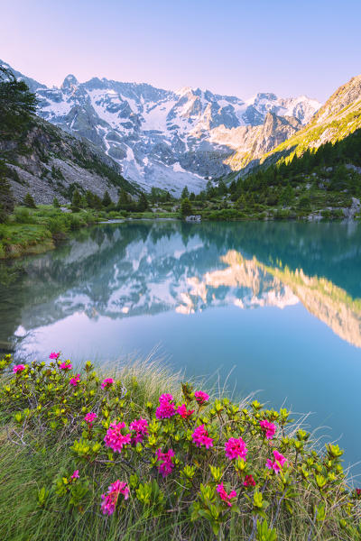 Aviolo lake in Adamello park, Lombardy district, Brescia province, Vallecamonica, Italy.