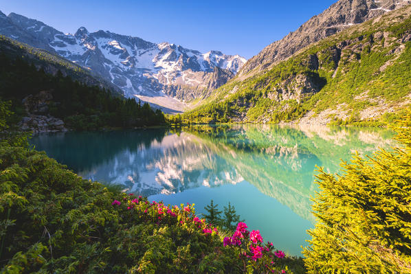 Aviolo lake in Adamello park, Lombardy district, Brescia province, Vallecamonica, Italy.