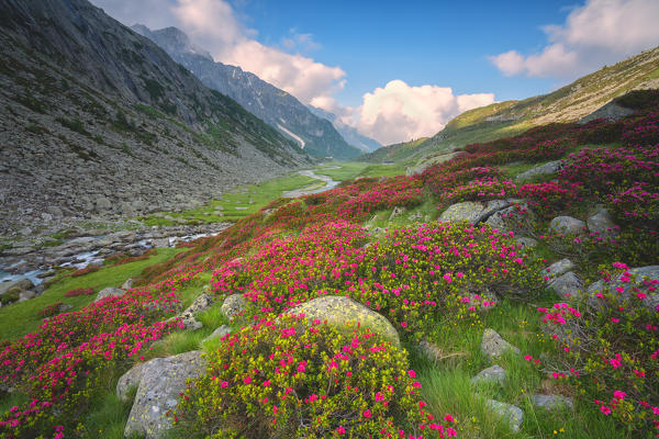 Adamè valley in Adamello park, Vallecamonica, Italy, Lombardy district, Brescia province.