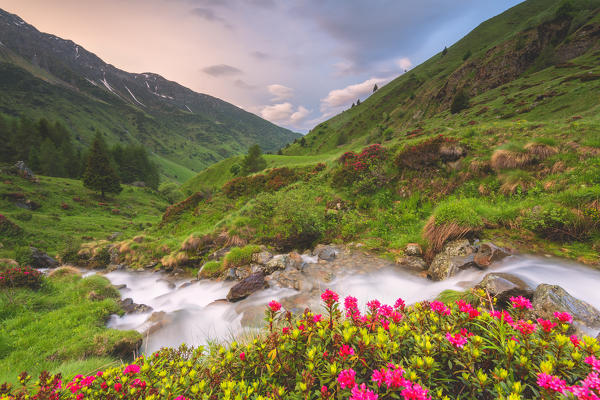 Sunrise in Stelvio national park, Brescia province, Lombardy district, Italy, Europe