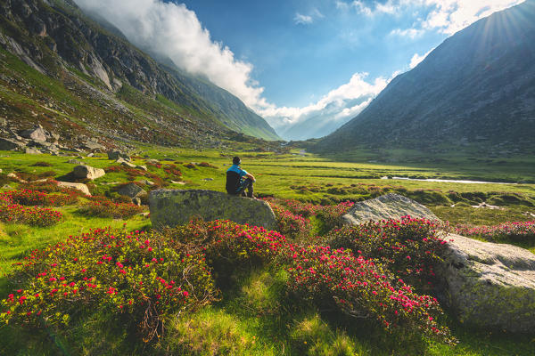 Adame Valley in Adamello park, Lombardy district, Brescia province, Italy.