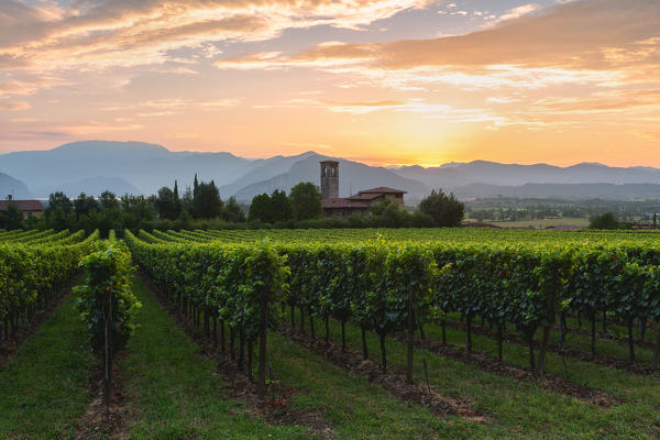 Summer season in Franciacorta, Lombardy district, Brescia province, Italy, Europe.