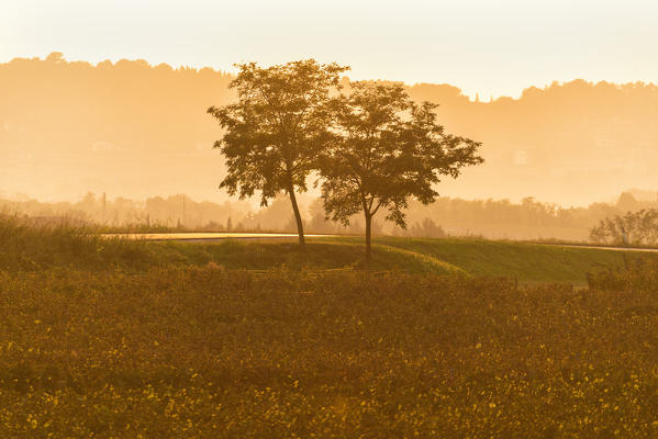 Autumn season in franciacorta, Lombardy district, Brescia province, Italy.