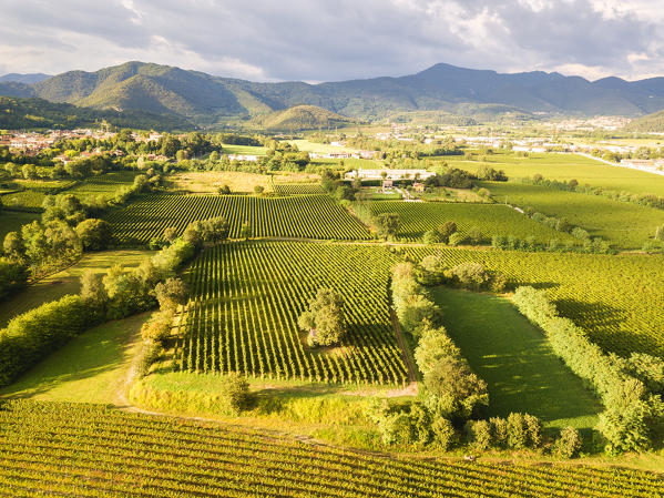 Aerial view of Franciacorta fields, Franciacorta, Brescia province, Lombardy district, Italy.