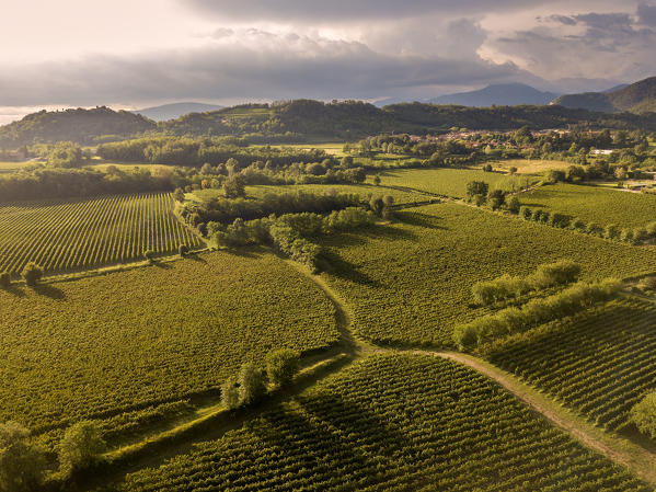 Aerial view of Franciacorta fields, Franciacorta, Brescia province, Lombardy district, Italy.