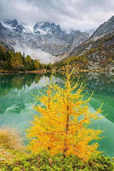 Autumn season in Aviolo lake in Adamello park, Lombardy district, Brescia province, Italy, Europe