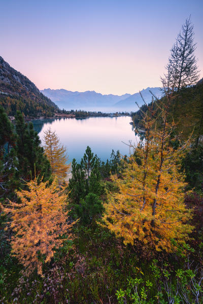 Autumn season in Aviolo lake in Adamello park, Lombardy district, Brescia province, Italy, Europe