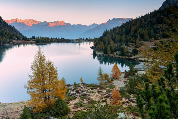 Autumn season in Aviolo lake in Adamello park, Lombardy district, Brescia province, Italy, Europe