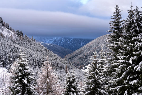 Winter season in Stelvio national park in Camonica valley, Lombardy district, Brescia province, Italy.