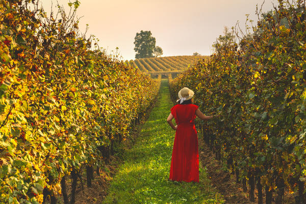 Woman in red among the vineyards of Franciacorta, Brescia province, Lombardy district, Italy.