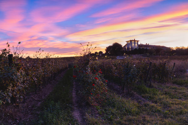 Sunset in Franciacorta at the Locanda al Dossello Restaurant, Brescia province, Lombardy district, Italy.