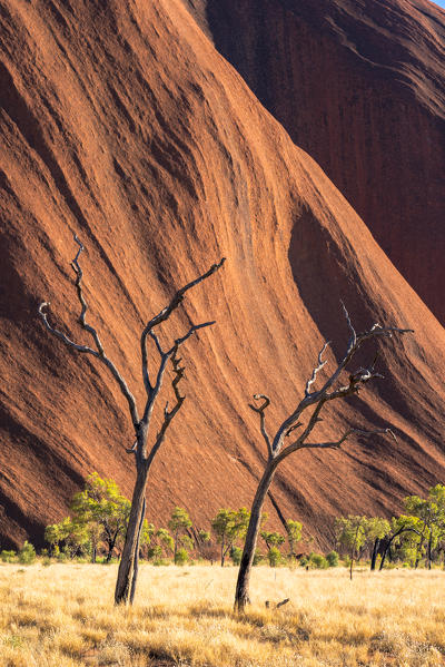 Uluru (Ayers Rock), Uluru-Kata Tjuta National Park, Northern Territory, Central Australia, Australia.