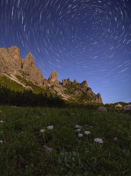 Pian dei Buoi, Lozzo di Cadore, Dolomites, Belluno, Veneto, Italy. Startrail over Marmarole