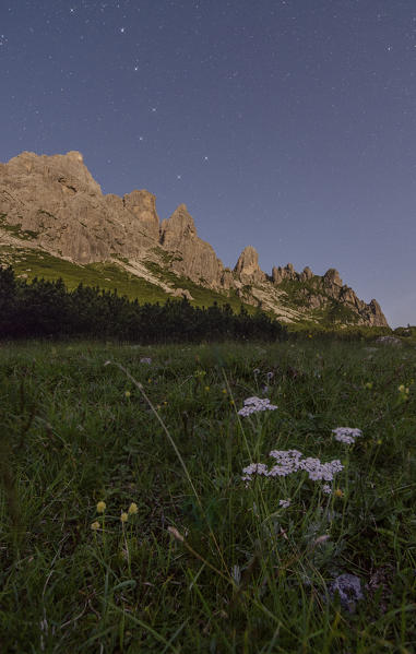 Ciarido Mount, Pian dei Buoi, Lozzo di Cadore, Dolomites, Belluno, Veneto, Italy. Big Dipper over Marmarole