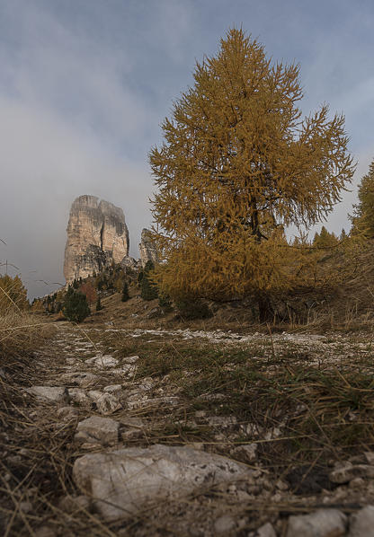 Cinque Torri, Cortina d'Ampezzo, Dolomiti, Dolomites, Veneto, Italy. Fog at Cinque Torri